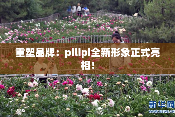 重塑品牌：pilipi全新形象正式亮相！