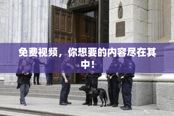 免费视频，你想要的内容尽在其中！