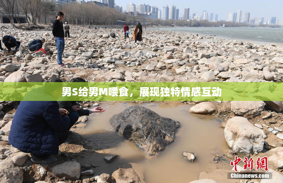 男S给男M喂食，展现独特情感互动