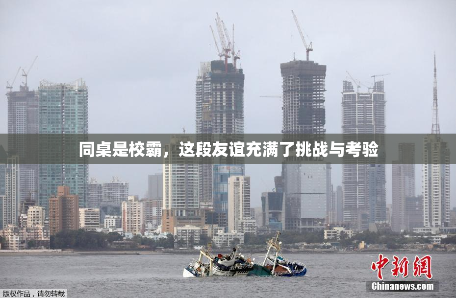 同桌是校霸，这段友谊充满了挑战与考验