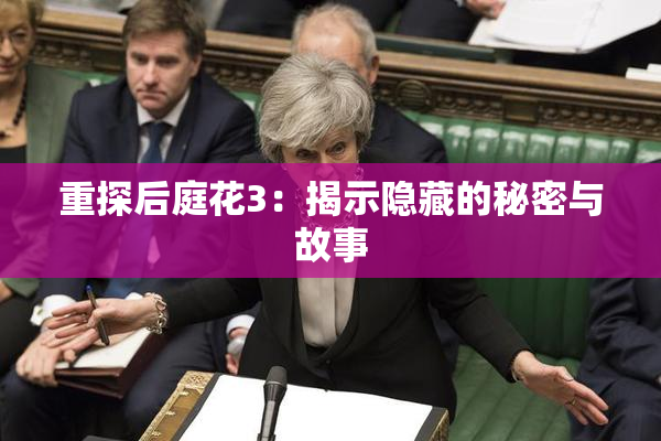 重探后庭花3：揭示隐藏的秘密与故事