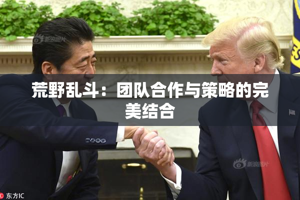 荒野乱斗：团队合作与策略的完美结合