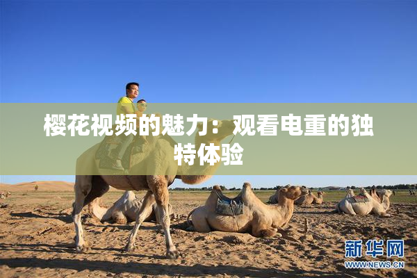 樱花视频的魅力：观看电重的独特体验