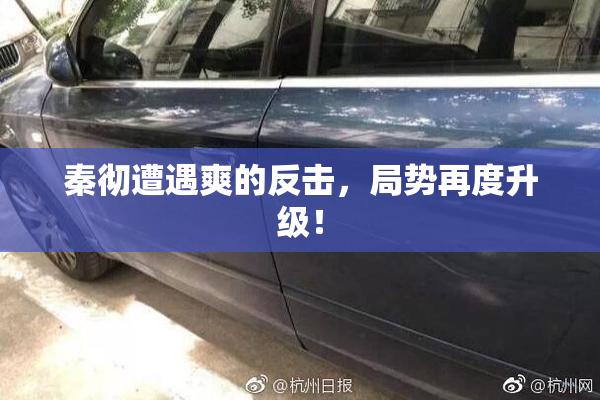 秦彻遭遇爽的反击，局势再度升级！