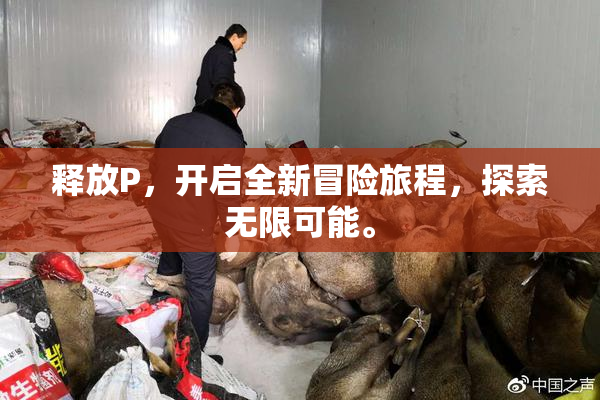 释放P，开启全新冒险旅程，探索无限可能。