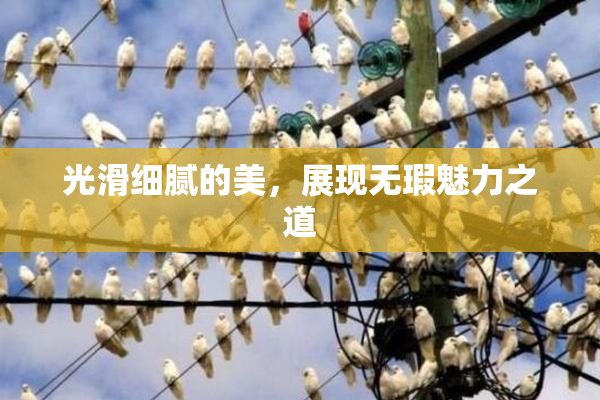 光滑细腻的美，展现无瑕魅力之道