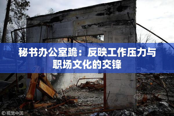 秘书办公室跪：反映工作压力与职场文化的交锋