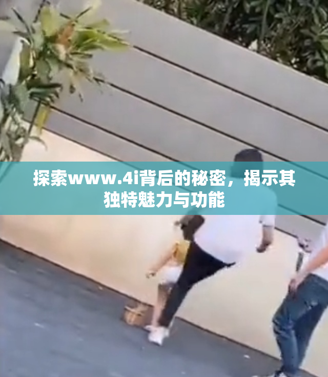 探索www.4i背后的秘密，揭示其独特魅力与功能
