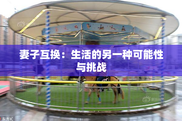 妻子互换：生活的另一种可能性与挑战
