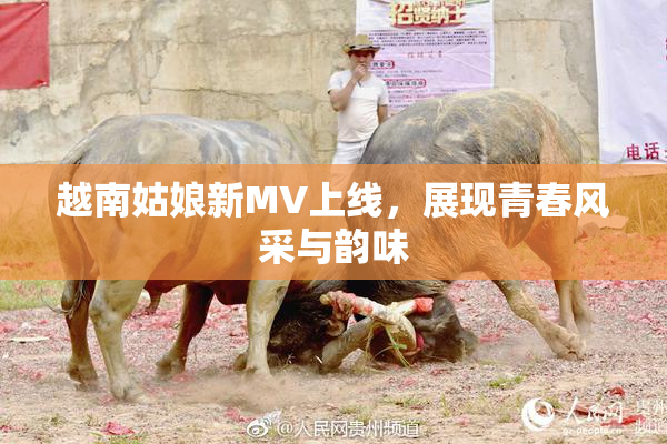 越南姑娘新MV上线，展现青春风采与韵味