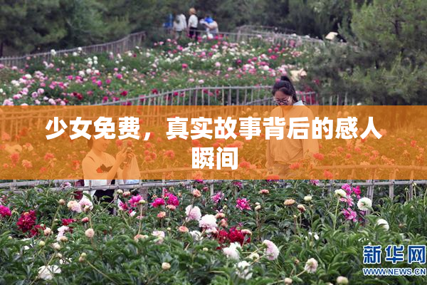 少女免费，真实故事背后的感人瞬间