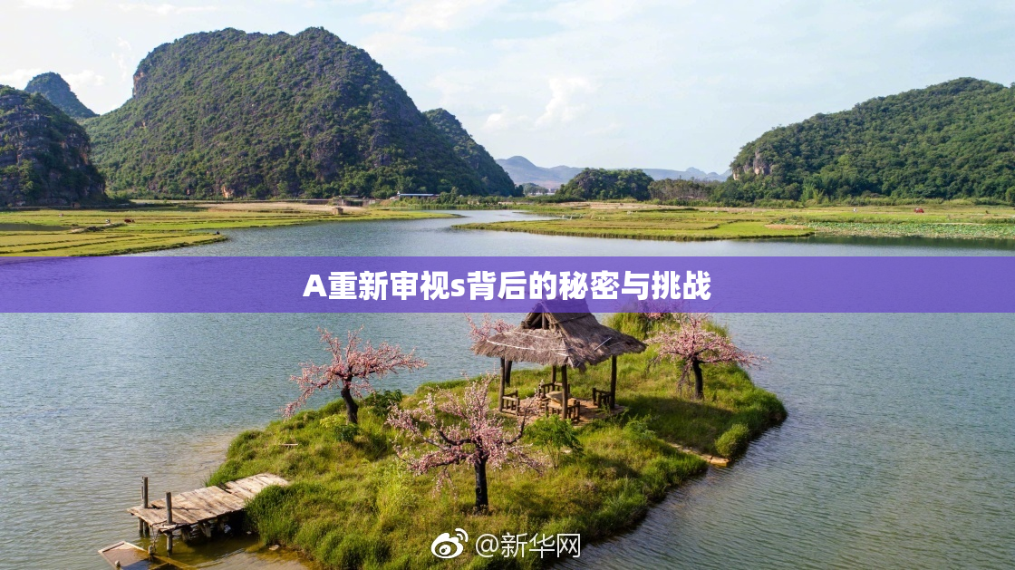A重新审视s背后的秘密与挑战