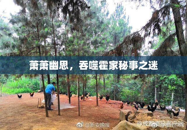 萧萧幽思，吞噬霍家秘事之迷