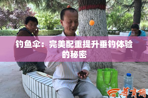钓鱼伞：完美配重提升垂钓体验的秘密