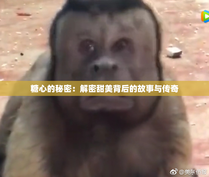 糖心的秘密：解密甜美背后的故事与传奇