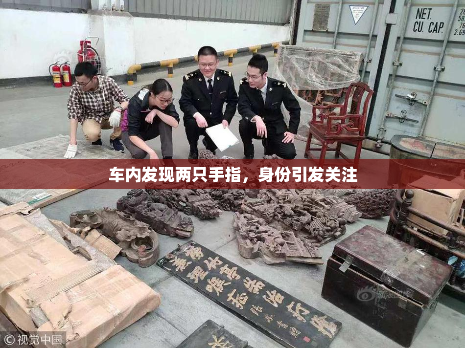 车内发现两只手指，身份引发关注