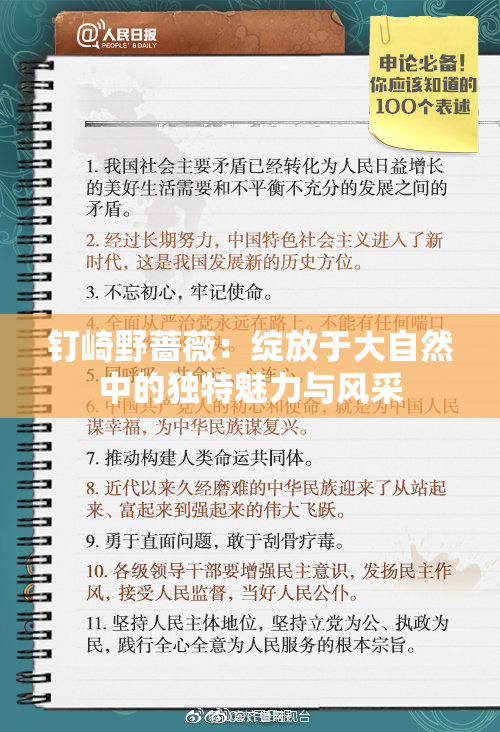 钉崎野蔷薇：绽放于大自然中的独特魅力与风采
