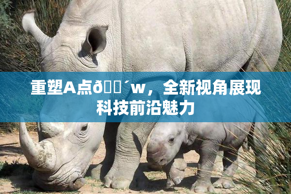 重塑A点🔴w，全新视角展现科技前沿魅力