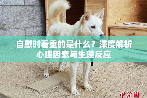 自慰时看重的是什么？深度解析心理因素与生理反应