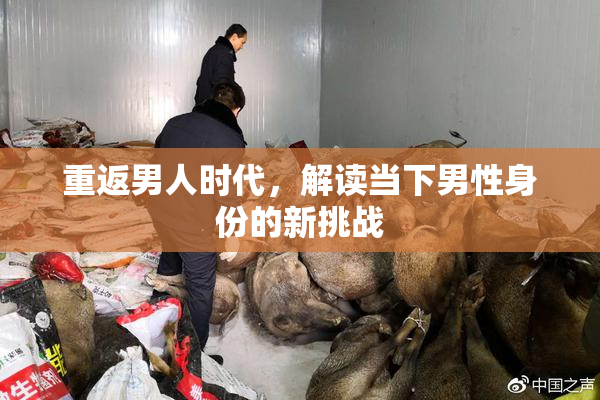 重返男人时代，解读当下男性身份的新挑战