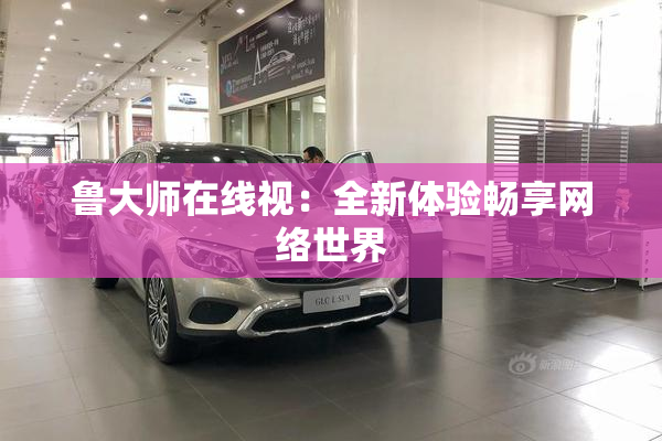 鲁大师在线视：全新体验畅享网络世界