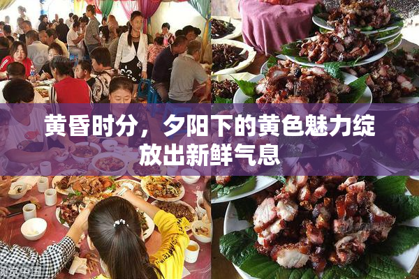 黄昏时分，夕阳下的黄色魅力绽放出新鲜气息