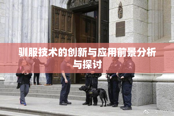 驯服技术的创新与应用前景分析与探讨