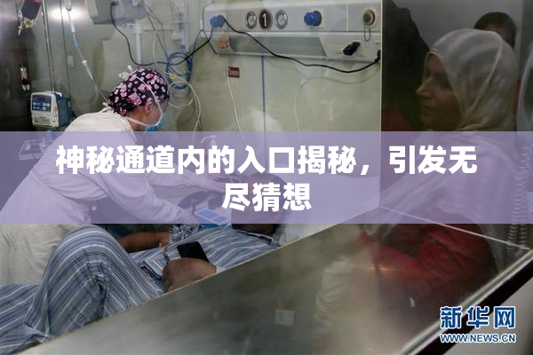 神秘通道内的入口揭秘，引发无尽猜想