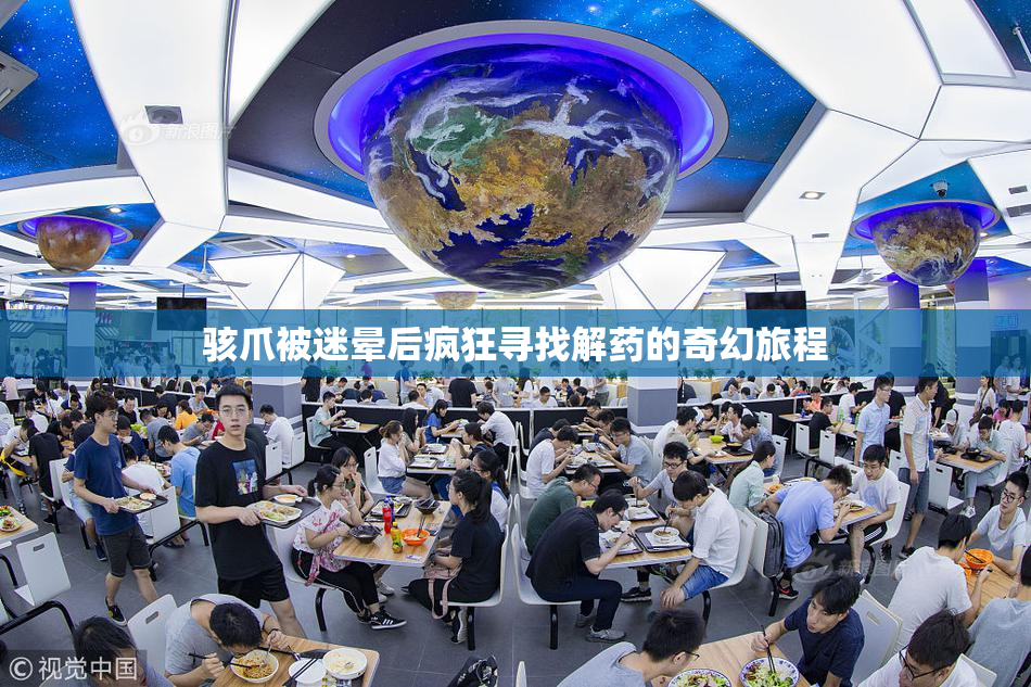 骇爪被迷晕后疯狂寻找解药的奇幻旅程