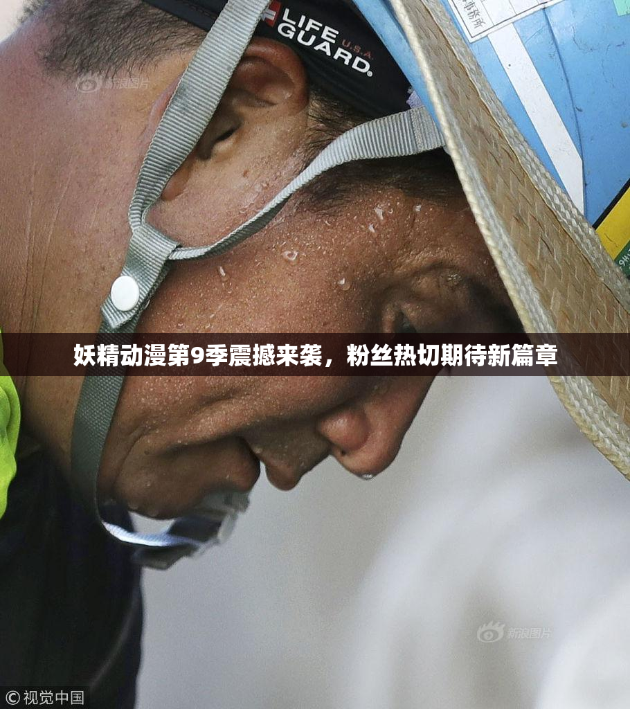 妖精动漫第9季震撼来袭，粉丝热切期待新篇章