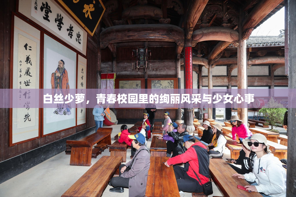白丝少萝，青春校园里的绚丽风采与少女心事