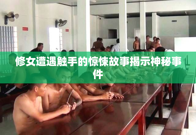 修女遭遇触手的惊悚故事揭示神秘事件