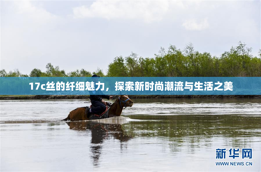 17c丝的纤细魅力，探索新时尚潮流与生活之美