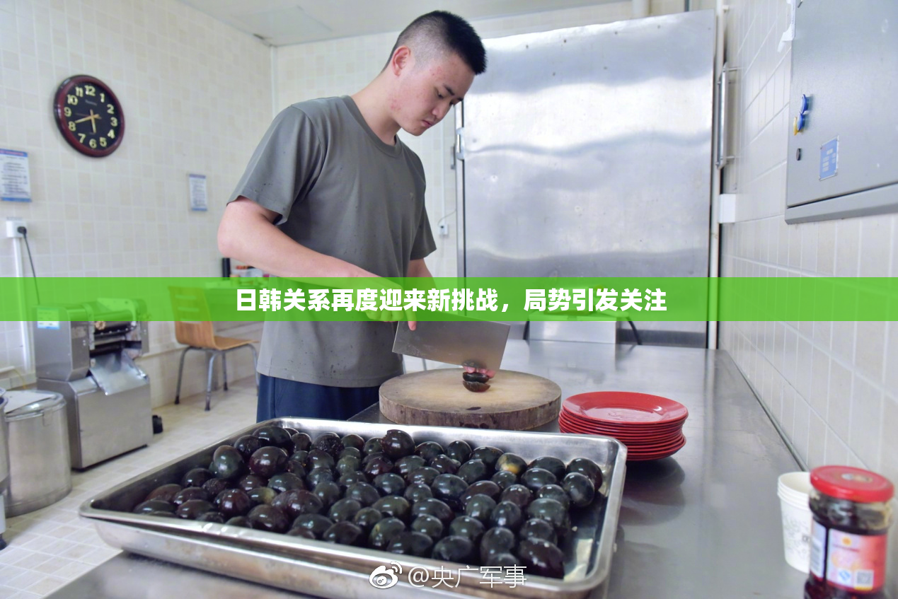 日韩关系再度迎来新挑战，局势引发关注