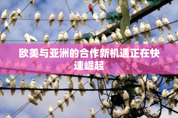 欧美与亚洲的合作新机遇正在快速崛起