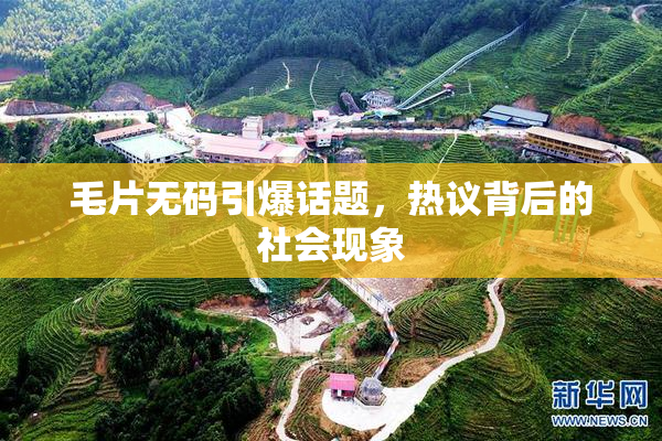 毛片无码引爆话题，热议背后的社会现象