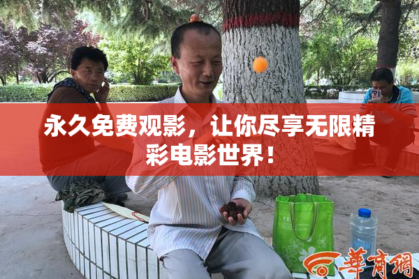 永久免费观影，让你尽享无限精彩电影世界！