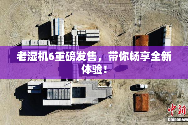 老湿机6重磅发售，带你畅享全新体验！