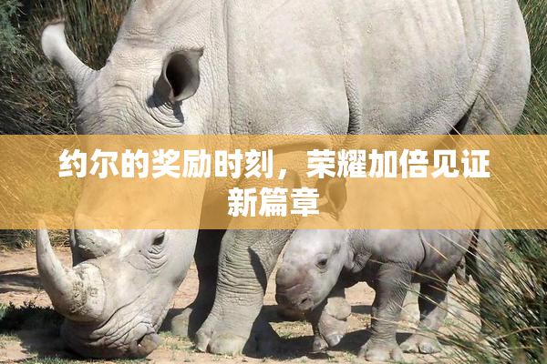 约尔的奖励时刻，荣耀加倍见证新篇章