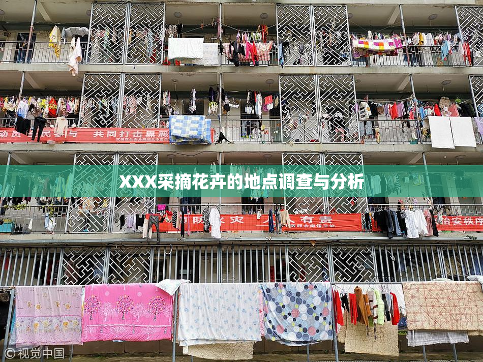 XXX采摘花卉的地点调查与分析