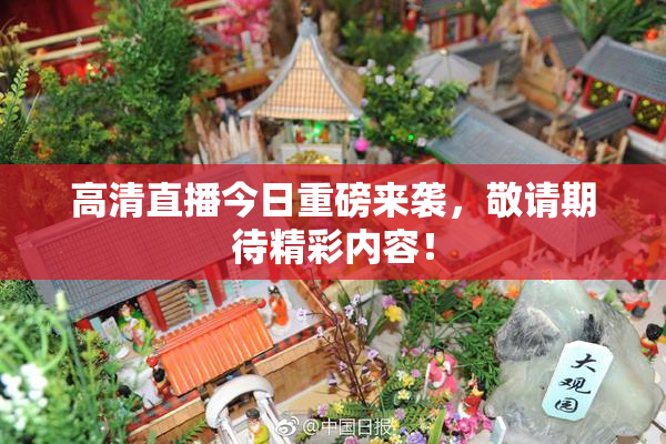 高清直播今日重磅来袭，敬请期待精彩内容！
