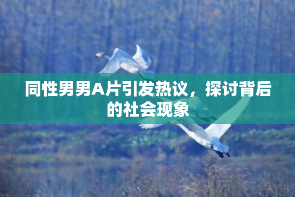 同性男男A片引发热议，探讨背后的社会现象
