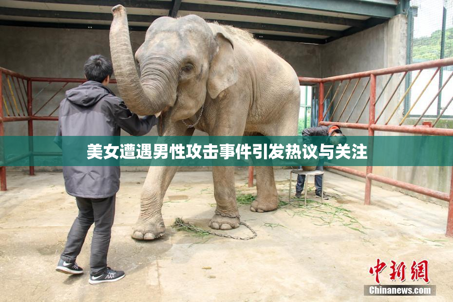 美女遭遇男性攻击事件引发热议与关注