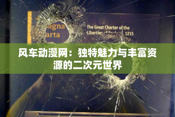 风车动漫网：独特魅力与丰富资源的二次元世界