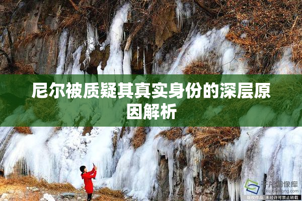 尼尔被质疑其真实身份的深层原因解析