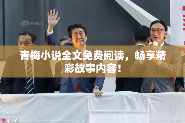 青梅小说全文免费阅读，畅享精彩故事内容！