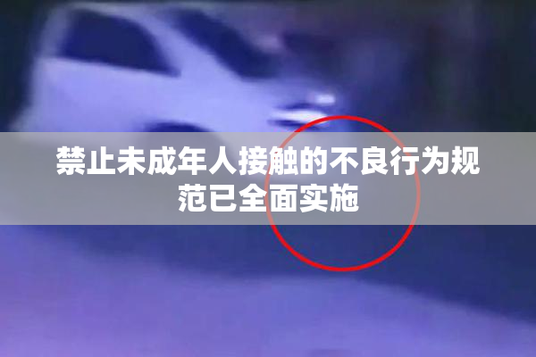 禁止未成年人接触的不良行为规范已全面实施