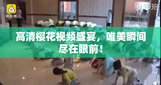 高清樱花视频盛宴，唯美瞬间尽在眼前！