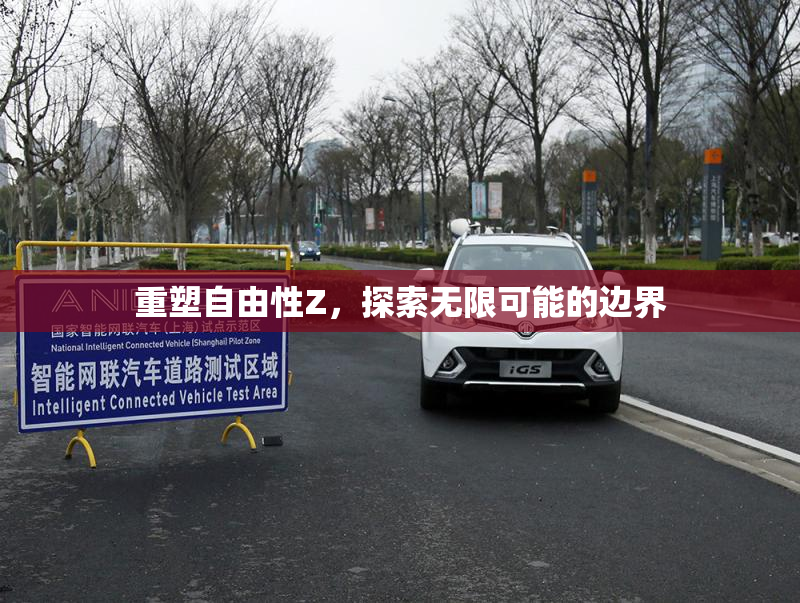 重塑自由性Z，探索无限可能的边界