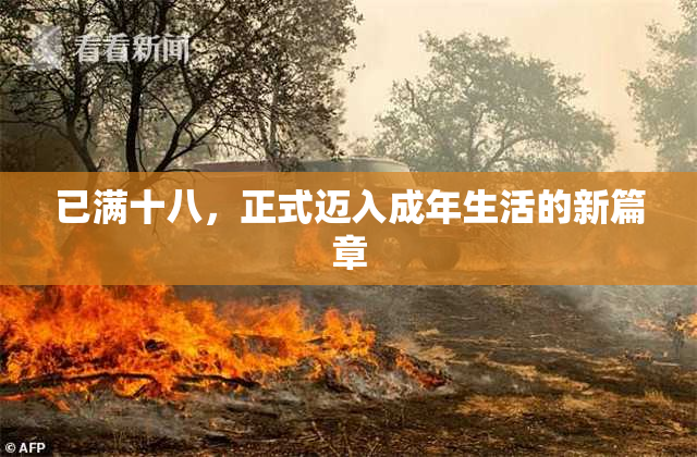 已满十八，正式迈入成年生活的新篇章